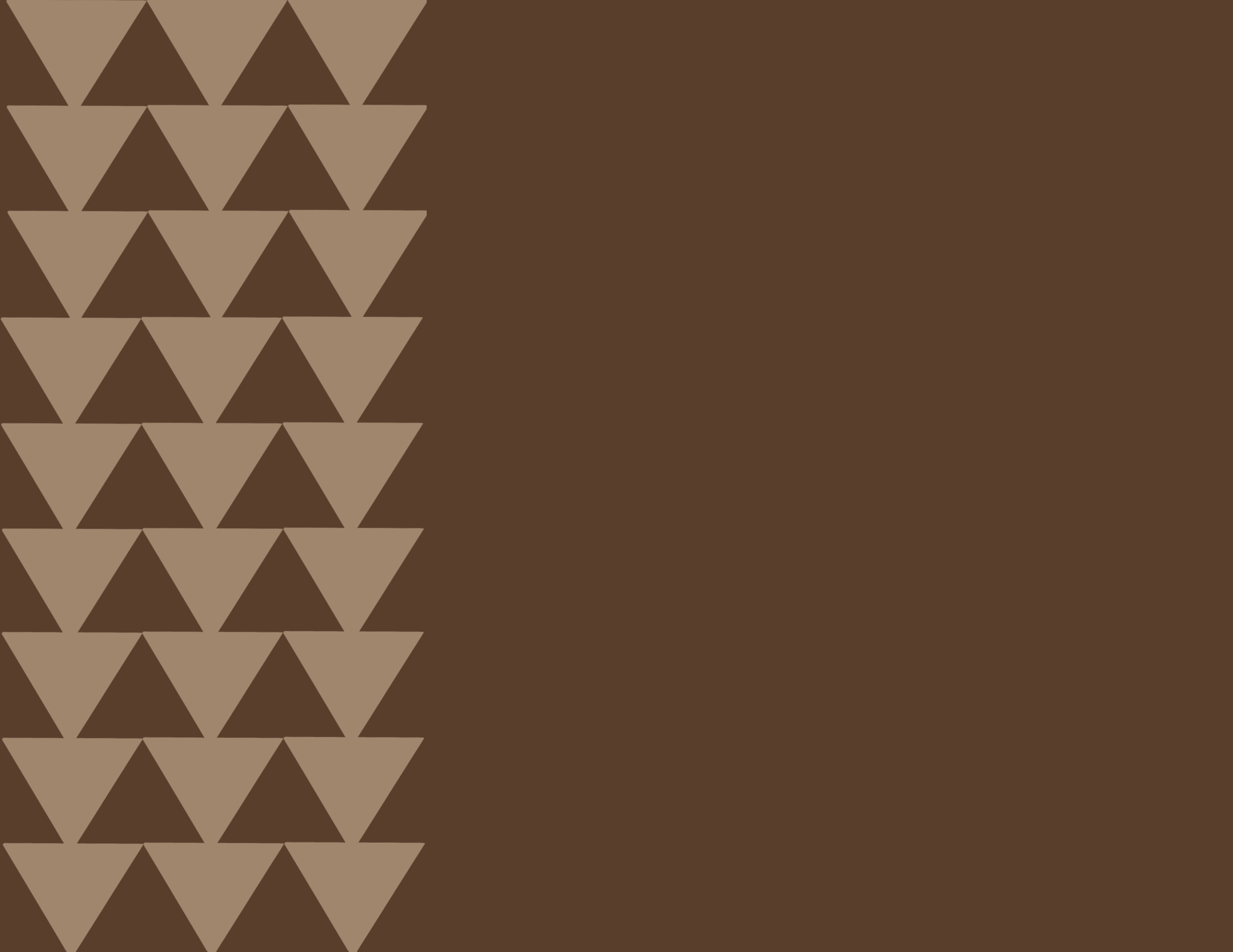 Descriptive text about the image content